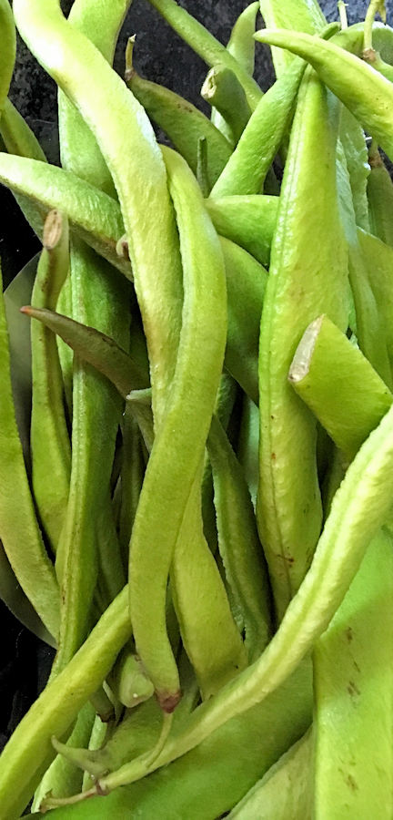 Garlicky Runner Beans Recipe Cuisine Fiend